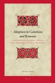 Adoption in Galatians and Romans: Contemporary Metaphor Theories and the Pauline Huiothesia Metaphors