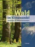 Wald im Klimawandel Wald im Klimawandel