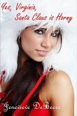 Yes, Virginia, Santa Claus is Horny (eBook, ePUB)