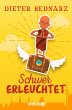 Schwer erleuchtet (eBook, ePUB) - Bild 1