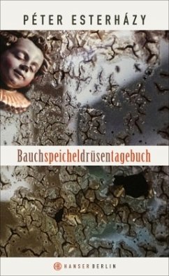 Bauchspeicheldrüsentagebuch - Esterházy, Péter