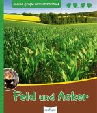 Feld und Acker