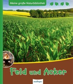 Cover Feld und Acker