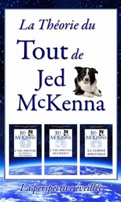 La Théorie Du Tout De Jed Mckenna - La Perspective Éveillée (eBook, ePUB) - McKenna, Jed