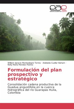 Formulación del plan prospectivo y estratégico