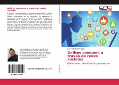 Delitos comunes a través de redes sociales: Definiciones, identificación y prevención