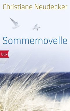 Sommernovelle - Neudecker, Christiane