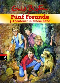 Fünf Freunde - 3 Abenteuer in einem Band / Fünf Freunde Sammelbände Bd.8 - Blyton, Enid