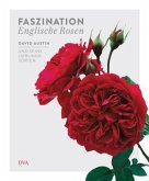 Faszination Englische Rosen