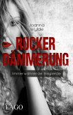 Rockerdämmerung / Rocker Bd.5