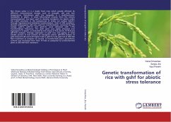 Genetic transformation of rice with gshf for abiotic stress tolerance