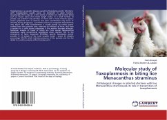 Molecular study of Toxoplasmosis in biting lice Menacanthus straminus