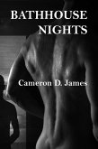 Bathhouse Nights (eBook, ePUB) Bathhouse Nights (eBook, ePUB)