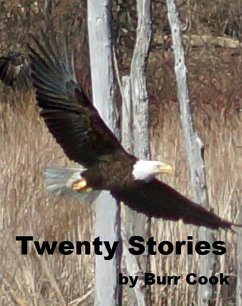 Cover Twenty Stories (eBook, ePUB)