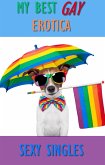 My Best Gay Erotica (eBook, ePUB)