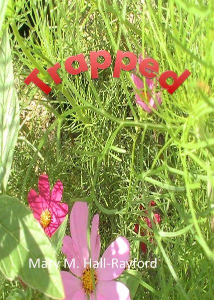 Trapped (eBook, ePUB)