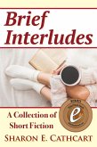 Brief Interludes: A Collection of Short Fiction (eBook, ePUB)