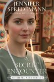A Secret Encounter (Amish Secrets - Book 3) (eBook, ePUB)