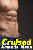 Cruised (eBook, ePUB)