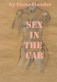 Sex In The Car (eBook, ePUB)
