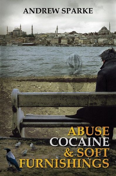Abuse Cocaine & Soft Furnishings (The Lincoln Trilogy, #1) (eBook, ePUB)