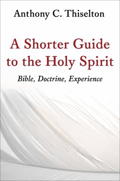 Cover Shorter Guide to the Holy Spirit (eBook, ePUB)