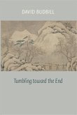 Tumbling Toward the End (eBook, ePUB)