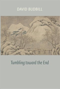 Tumbling Toward the End (eBook, ePUB) - Budbill, David