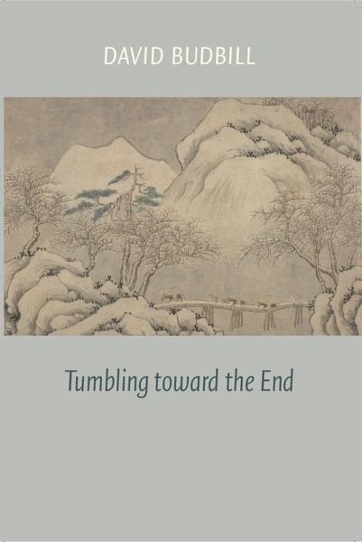 Tumbling Toward the End (eBook, ePUB) Tumbling Toward the End (eBook, ePUB)