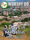 3 Days in Medellin (eBook, ePUB)