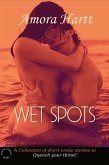 Wet Spots: Quench Your Thirst (eBook, ePUB) Wet Spots: Quench Your Thirst (eBook, ePUB)
