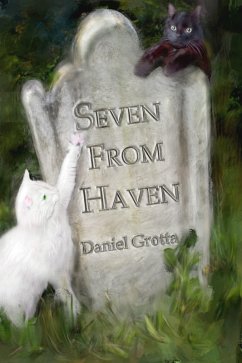 Cover Seven from Haven (eBook, ePUB)