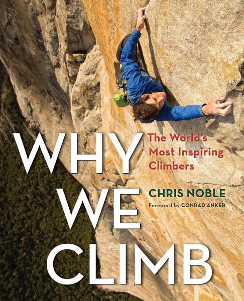 Why We Climb (eBook, ePUB)