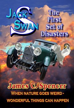 Cover Jack Swan Adventures-The first Set of Disasters (eBook, ePUB)