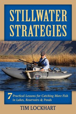 Cover Stillwater Strategies (eBook, ePUB)
