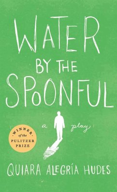 Water by the Spoonful (Revised TCG Edition) (eBook, ePUB) - Hudes, Quiara Alegría
