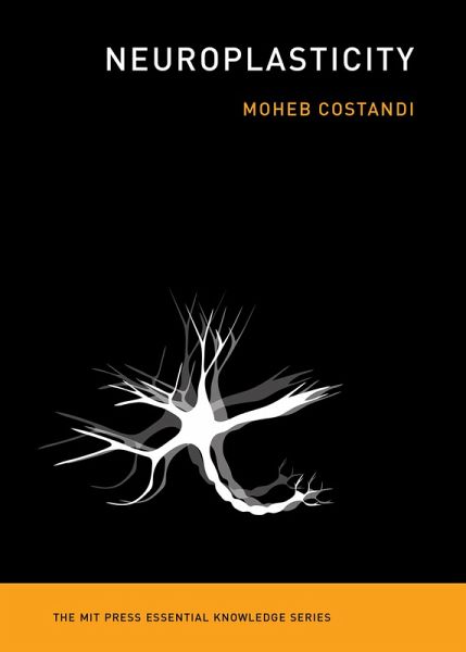Neuroplasticity (eBook, ePUB) Neuroplasticity (eBook, ePUB)