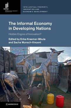 Cover Informal Economy in Developing Nations (eBook, ePUB)