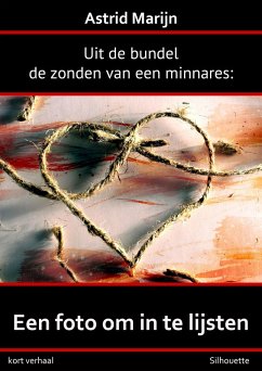 Cover De zonden van een minnares; een foto om in de lijsten (eBook, ePUB)