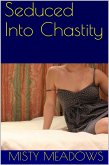 Seduced Into Chastity (Femdom, Chastity) (eBook, ePUB)