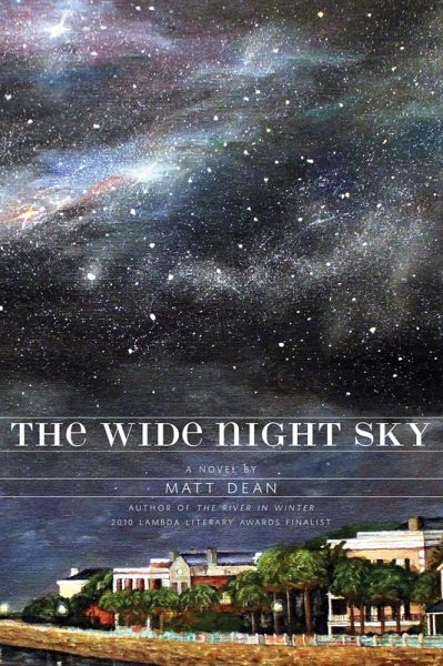 The Wide Night Sky (eBook, ePUB)