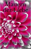Mauern der Liebe (eBook, ePUB)