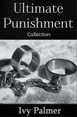 Ultimate Punishment (eBook, ePUB)