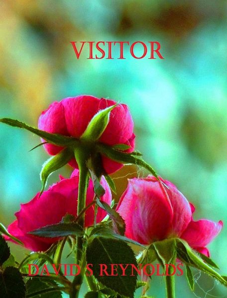 Visitor (eBook, ePUB)