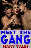 Meet The Gang (Mary Tales erotic story collections, #8) (eBook, ePUB)