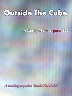 Outside The Cube (eBook, ePUB) Cover Outside The Cube (eBook, ePUB)