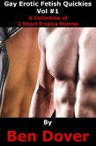 Gay Erotica Fetish Quickies Vol #1 (eBook, ePUB)