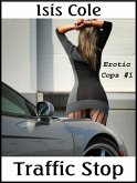 Traffic Stop (eBook, ePUB)