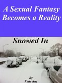Snowed In (eBook, ePUB)