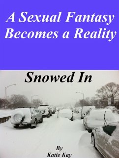 Cover Snowed In (eBook, ePUB)